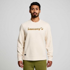 Saucony Recovery Crew Sweatshirt Herre Pisket Krem | NORGE PMYSJB