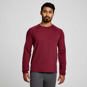 Saucony Triumph 3D Crew Sweatshirt Herre Rød | NORGE OCSNLA